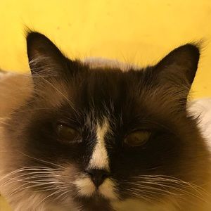 Meet your Posher, Jade